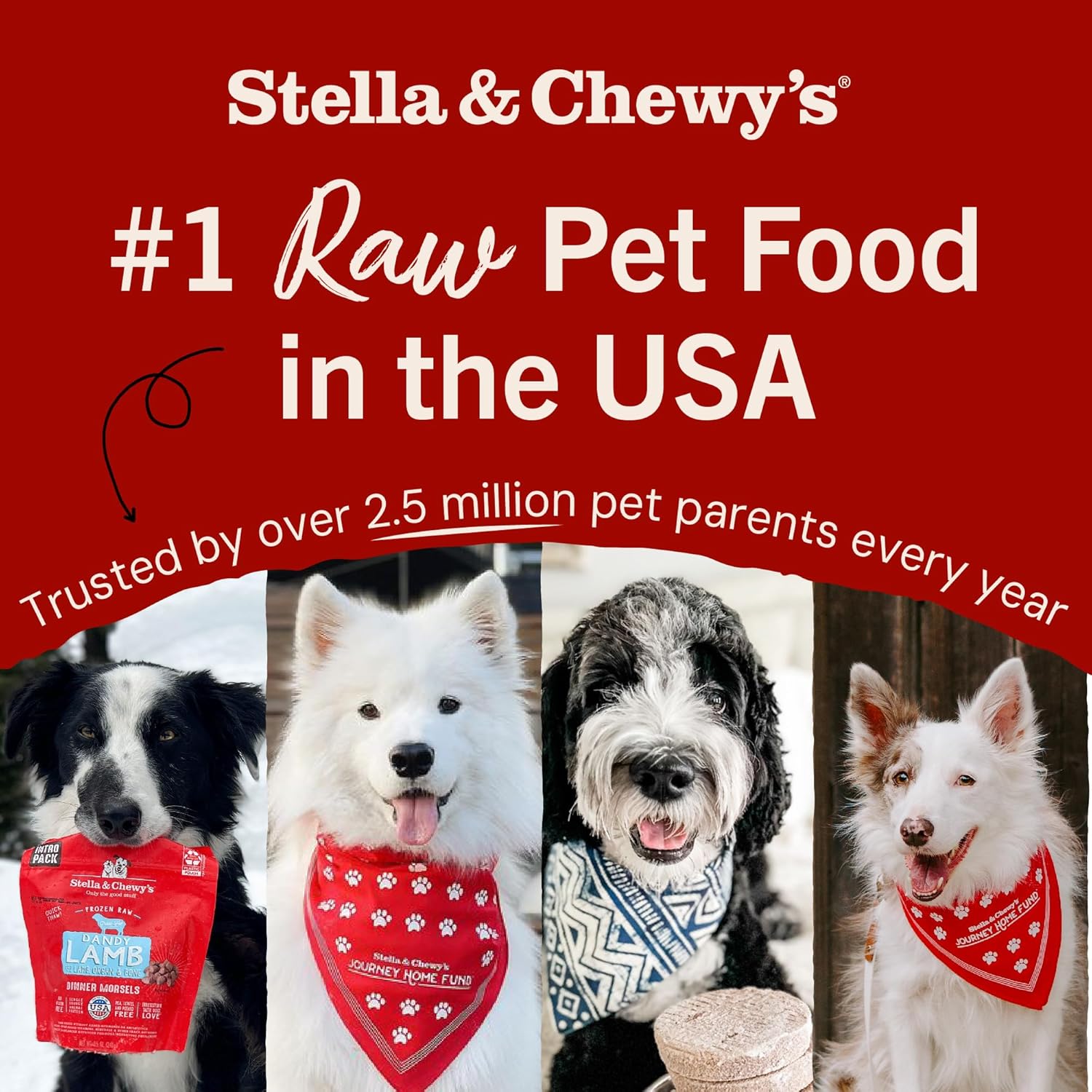Stella & Chewy's Freeze-Dried Raw Salmon & Cod Meal Mixers- Dog Food Topper and Mixer - Made with 95% Wild-Caught Salmon & Cod, Organs & Bone - Perfect for Picky Eaters - Grain-Free - 3.5 oz