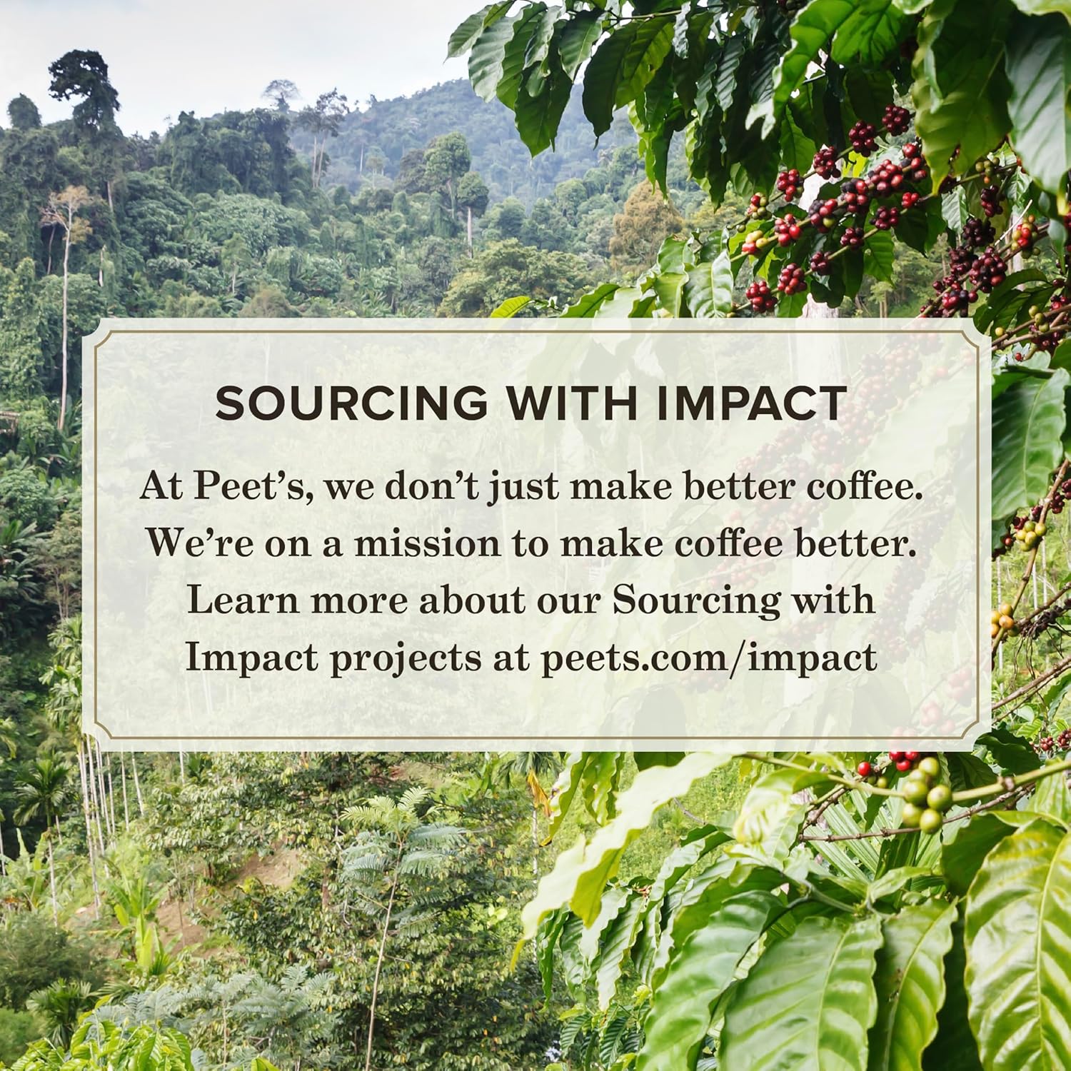 Peet's Coffee, Flavored Light Roast Keurig K-Cup Pods - Vanilla 22 Count (1 Box of 22 K-Cup Pods)